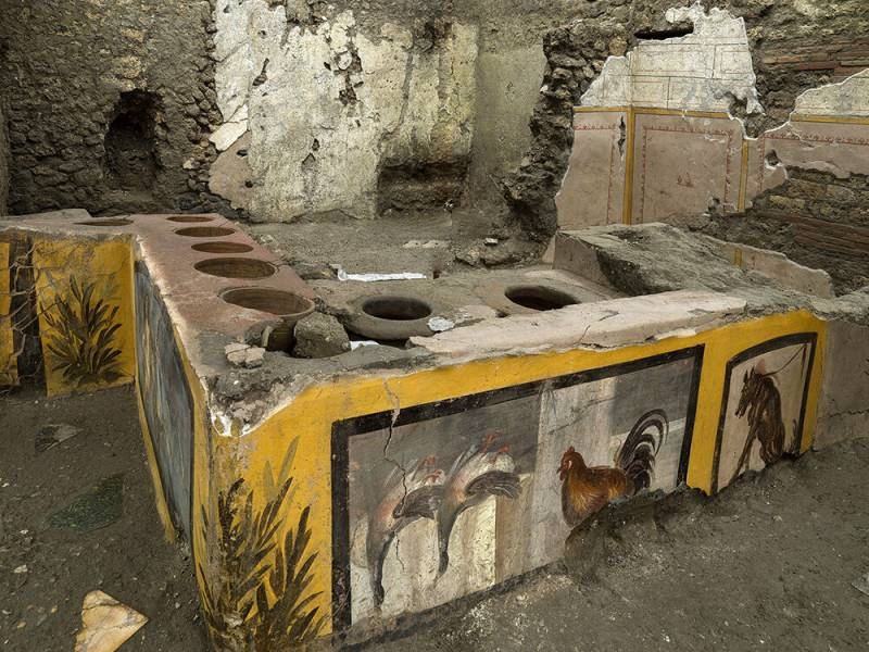
Деликатес из Помпеи: археологи раскрыли древнеримский рецепт тушеной утки                