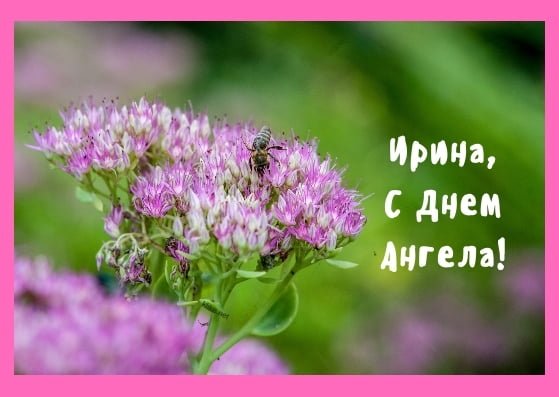 День ангела Ирины: как оригинально поздравить именинницу
