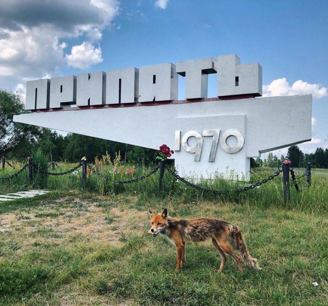 
Топ-5 мест в Чернобыли и Припяти, которые можно посетить во время тура                