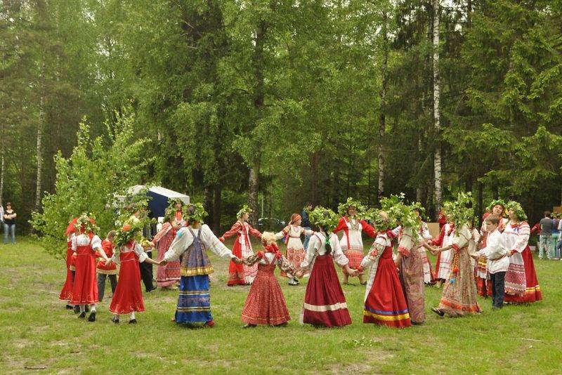 
О чём на Руси в день Никиты Столпника 6 июня просили цветущий куст шиповника                